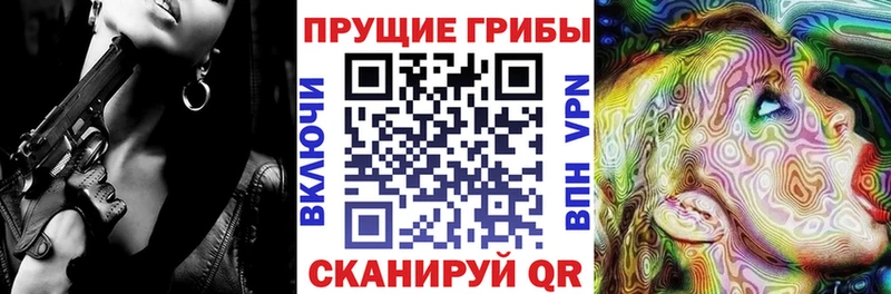 кракен сайт  Мценск  Галлюциногенные грибы Psilocybine cubensis 